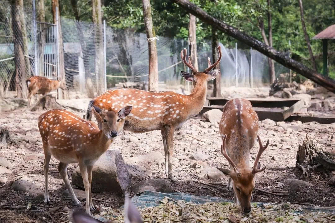 Vé vào cổng Suối nước nóng Alba Thanh Tân ở Huế