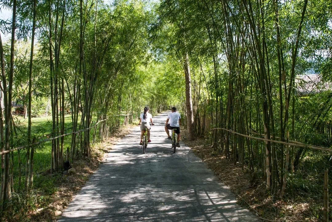 Vé vào cổng Suối nước nóng Alba Thanh Tân ở Huế