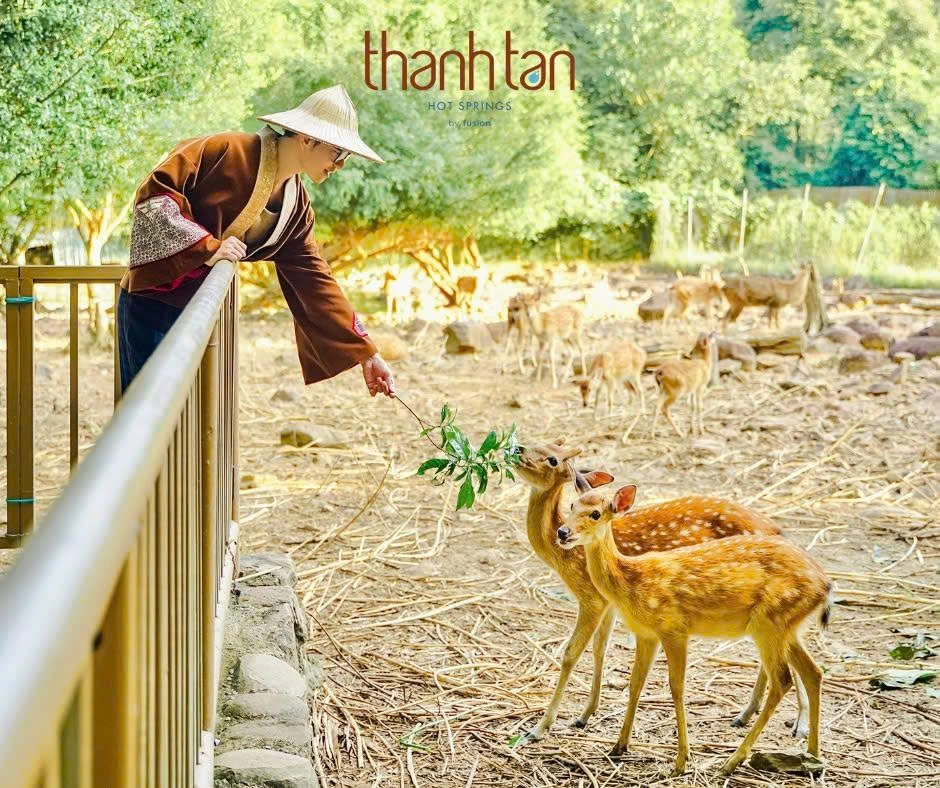 Vé vào cổng Suối nước nóng Alba Thanh Tân ở Huế