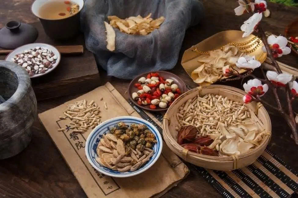 Trải nghiệm Vườn Thảo Mộc & Làm Trà Truyền Thống tại Hội An