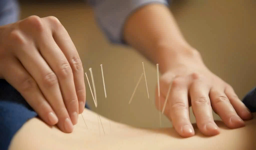 Vườn Thảo Mộc & Trải Nghiệm Ẩm Thực tại Làng Thanh Đông ở Hội An