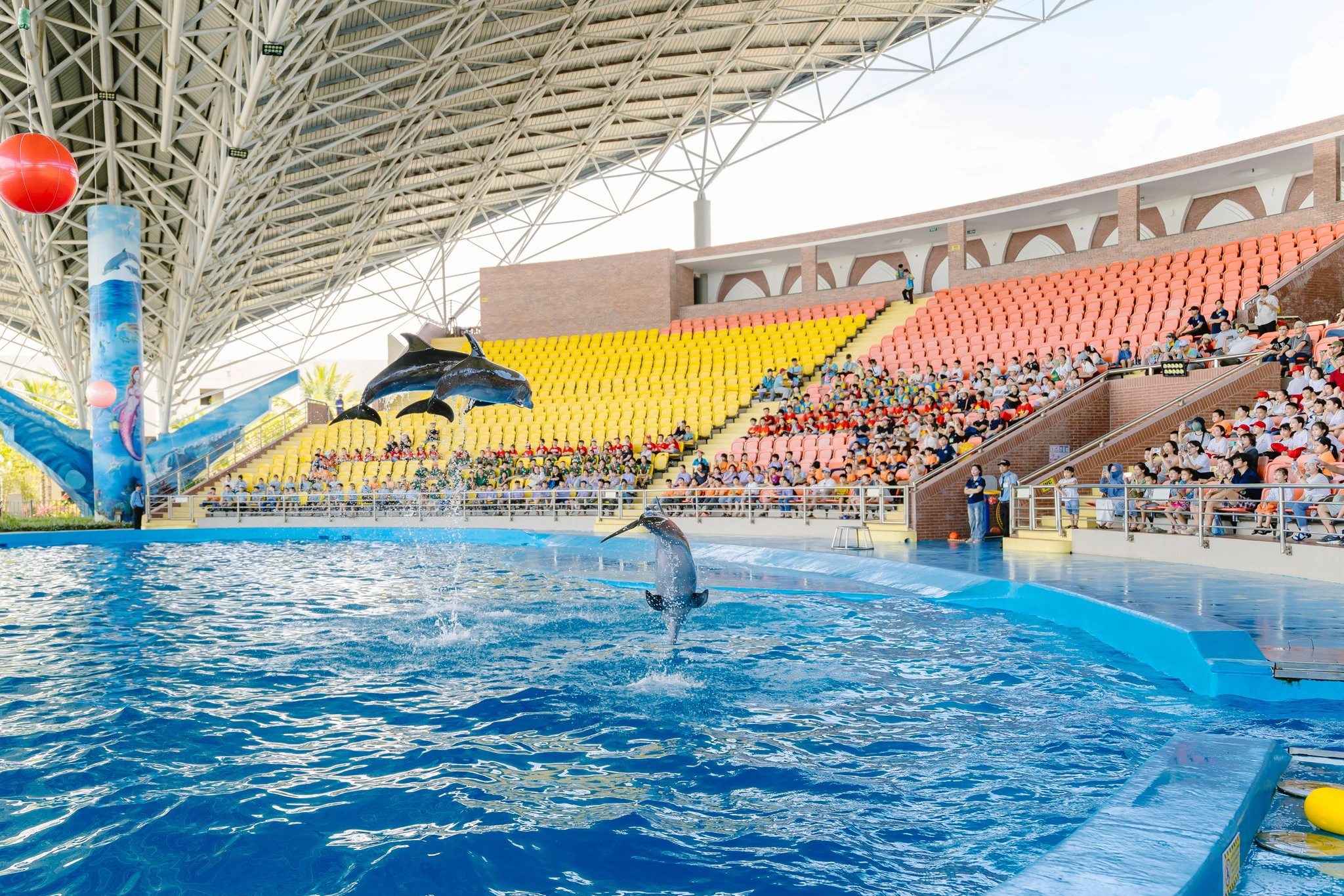 Da Nang Dolphinarium Ticket | Dolphin & Seal Show Experience