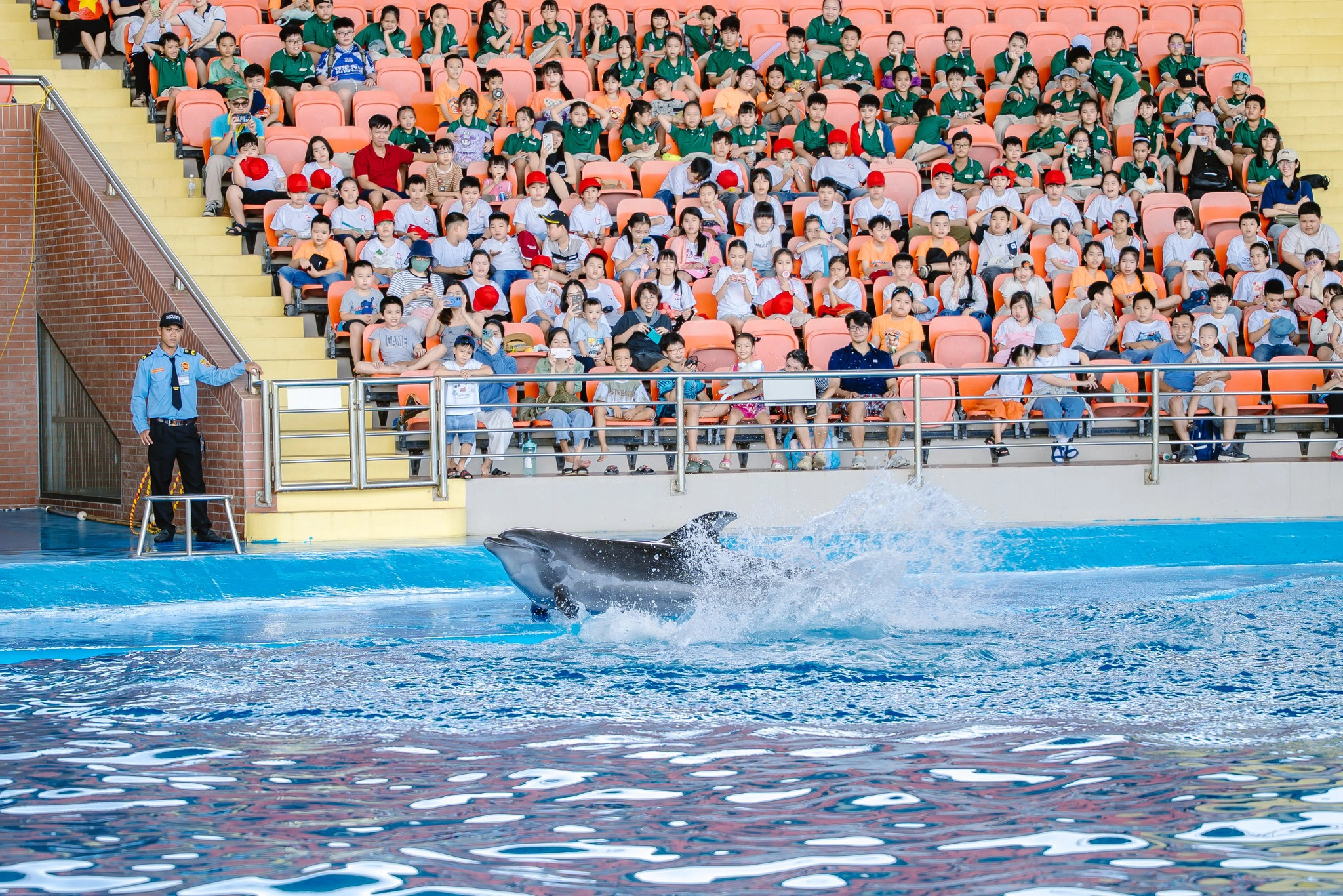 Da Nang Dolphinarium Ticket | Dolphin & Seal Show Experience