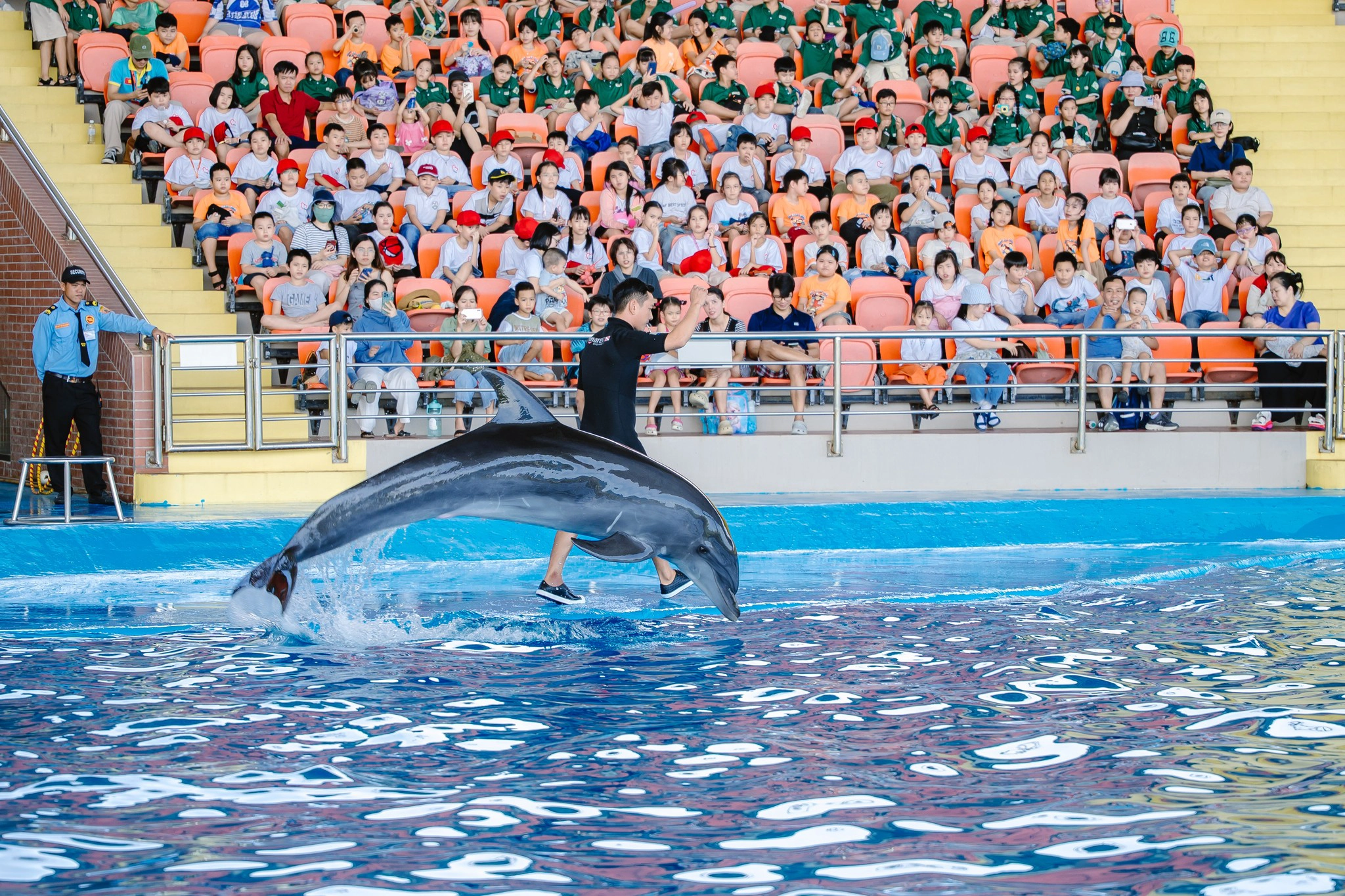Da Nang Dolphinarium Ticket | Dolphin & Seal Show Experience