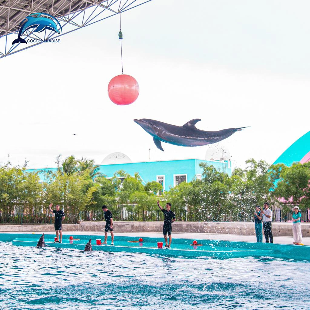 Da Nang Dolphinarium Ticket | Dolphin & Seal Show Experience