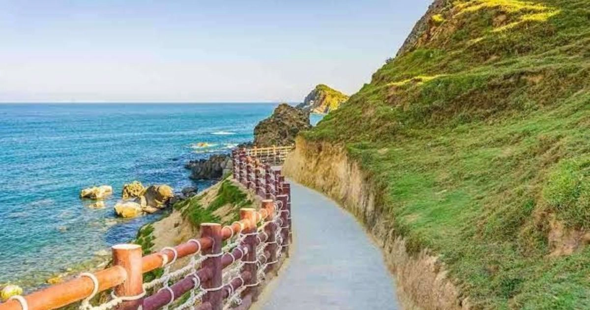 Quy Nhon Tour: Best Itineraries, Beaches & Local Experiences