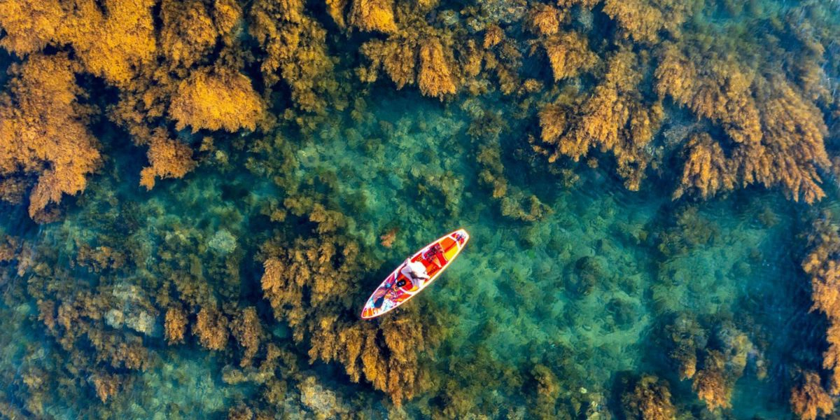 Hon Kho and its unique sea-crossing path