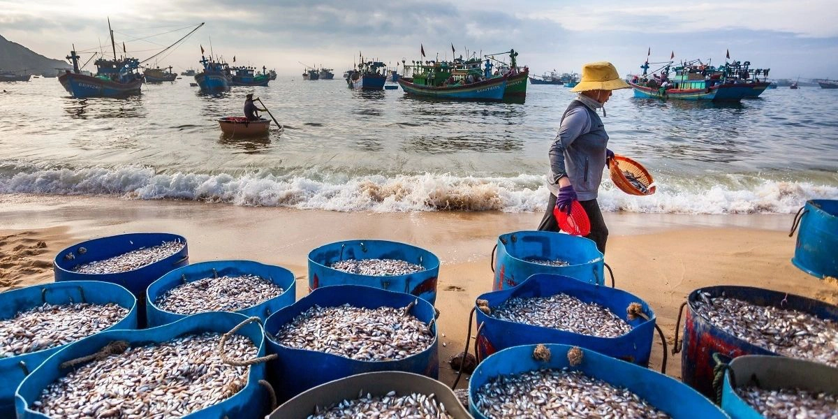 How to make a trip to Quy Nhon worthwhile
