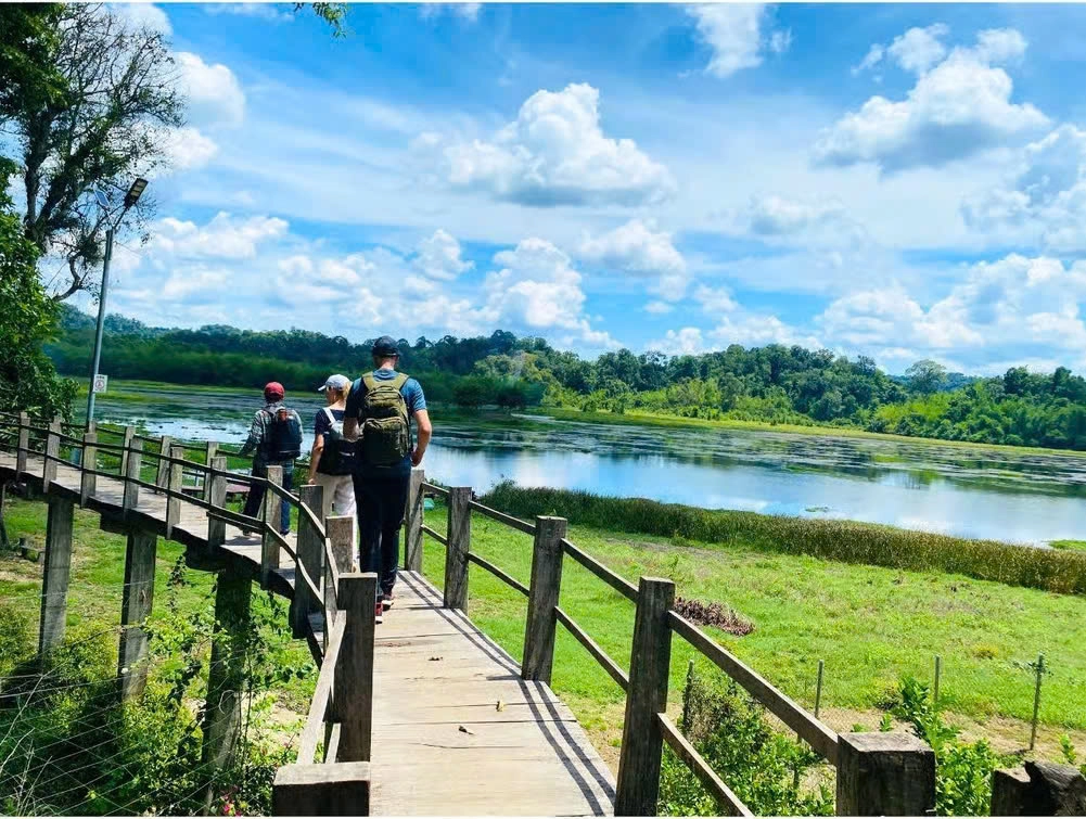 Дневной тур | Национальный парк Каттьен, джунгли