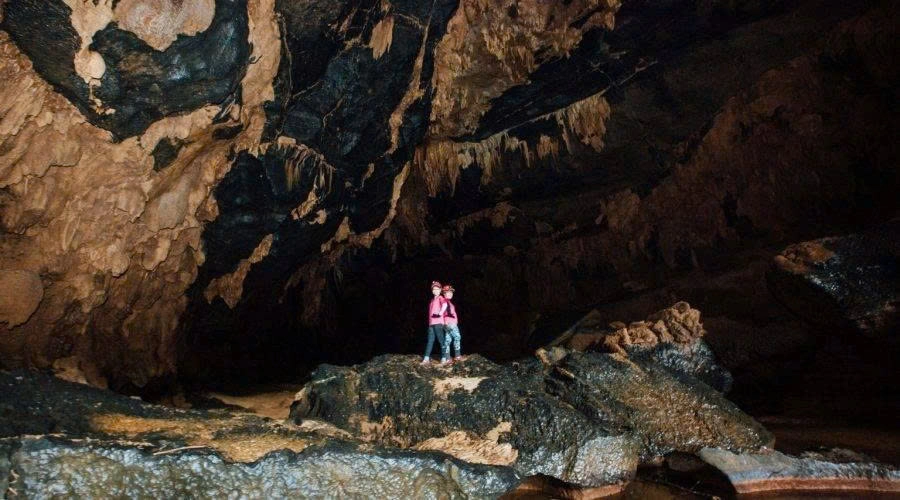 Day Tour | One-Day Abandoned Valley Trekking Tour | Depart from Dong Hoi/ Phong Nha
