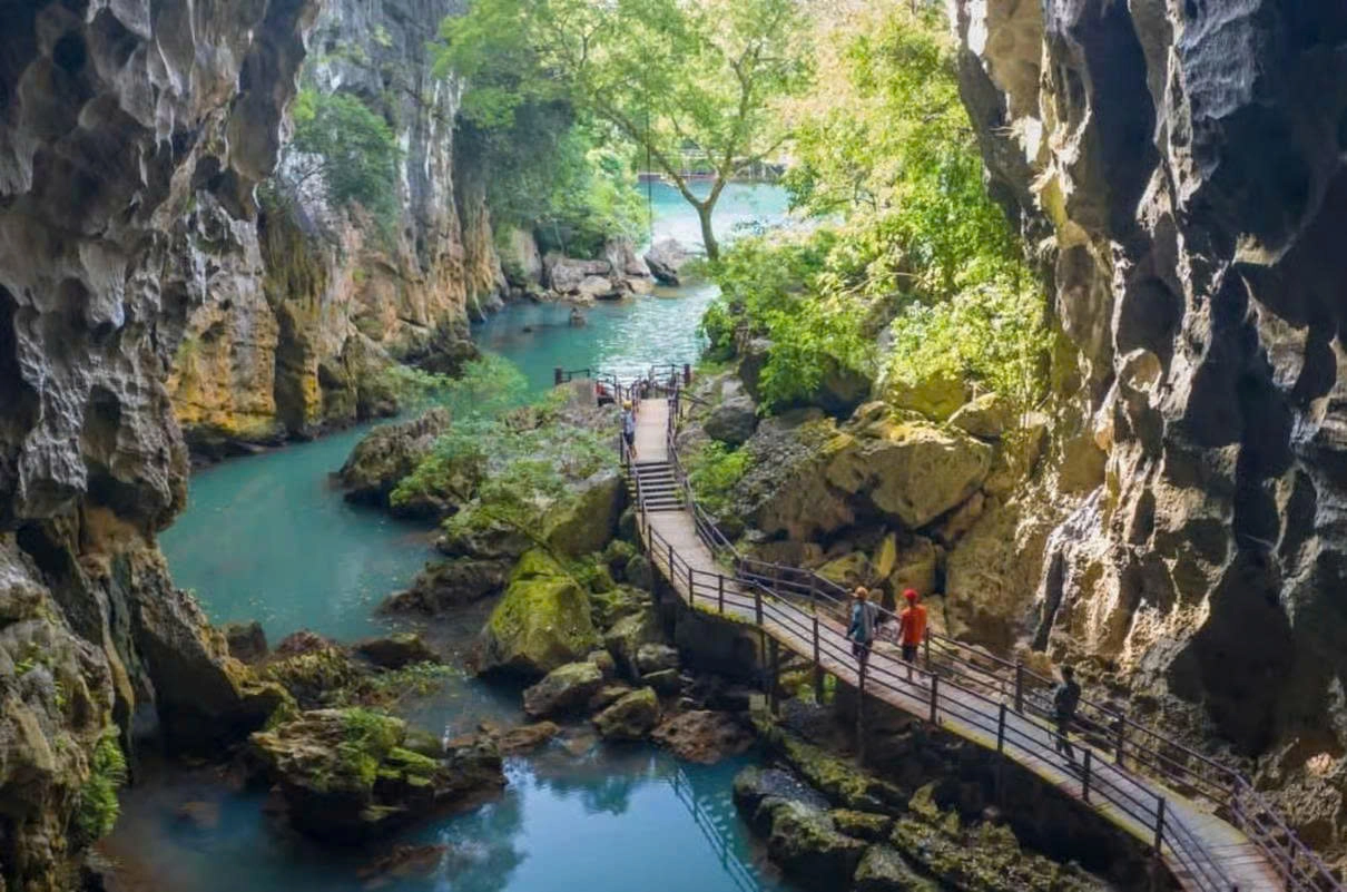 Day Tour | Phong Nha & Dark Cave 1 Day | Depart from Dong Hoi/ Phong Nha (khởi hành từ 2 khách)