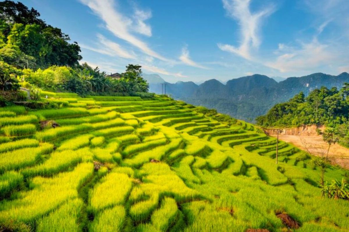 Best Time to Experience What to Do in Pu Luong Thanh Hoa