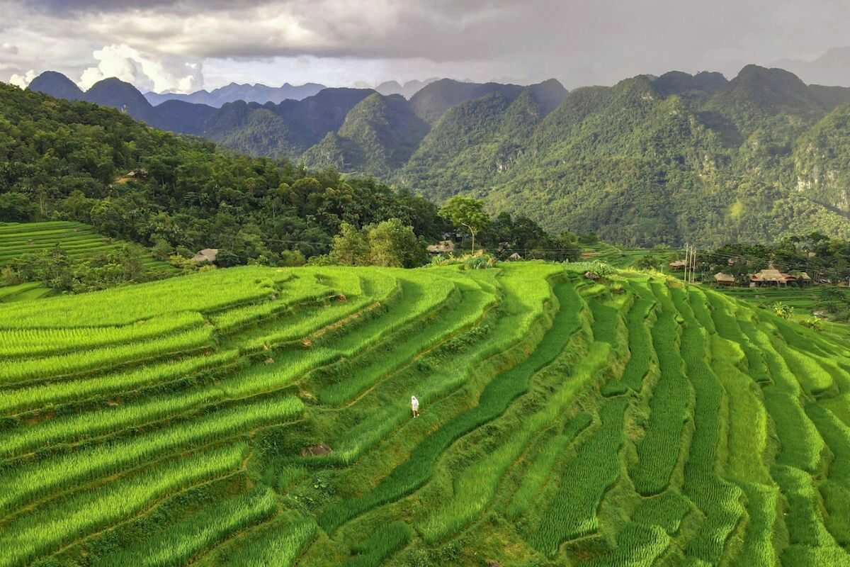What to Do in Pu Luong Thanh Hoa: Best Nature, Culture & Eco-Travel Experiences