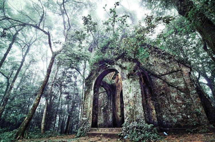 Hanoi Jeep Tour to Ba Vi National Park & Duong Lam Ancient Village