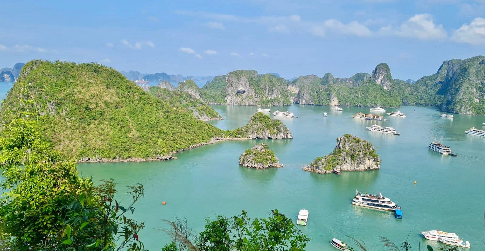 Dolphin Luxury Day Cruise | Explore Ha Long Bay with Sung Sot Cave, Ti Top Island & Sunset DJ Pool Party | 6-Star Beach Club Experience