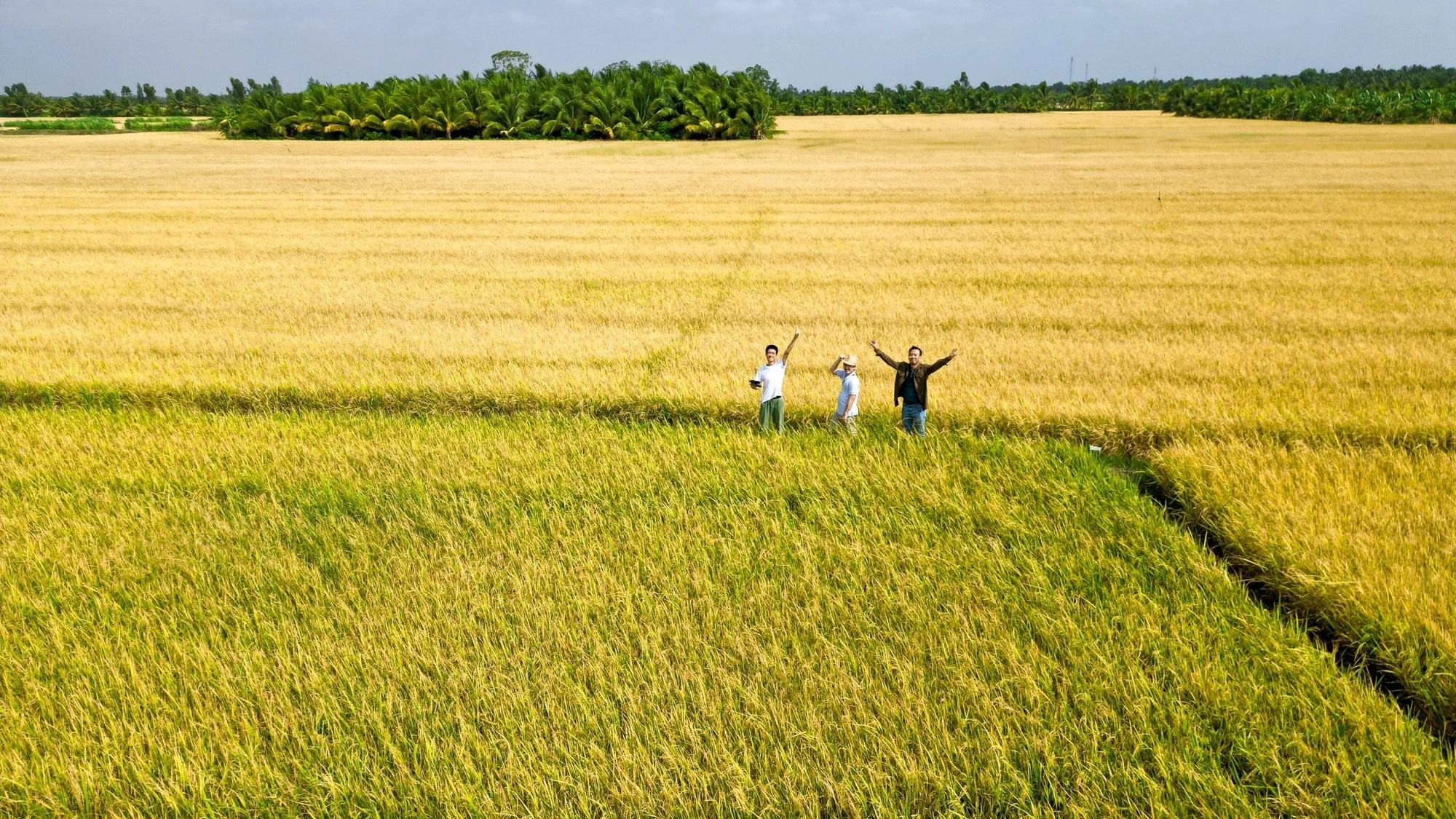 Explore Hanoi Countryside & Co Loa Citadel Tour by Army Jeep