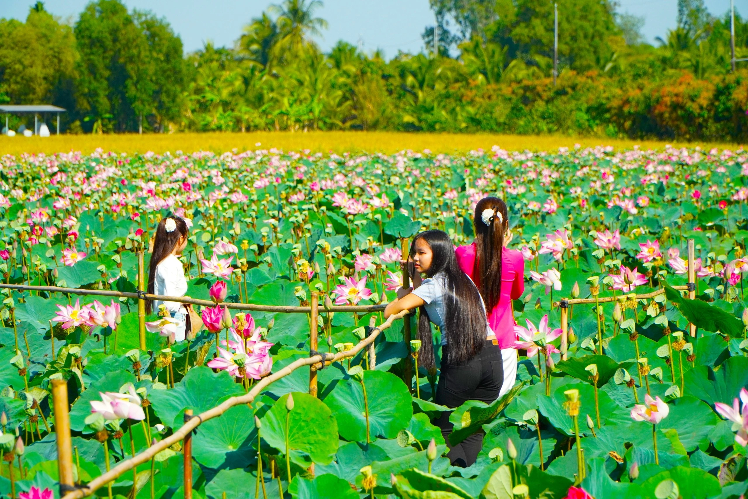 Explore Hanoi Countryside & Co Loa Citadel Tour by Army Jeep