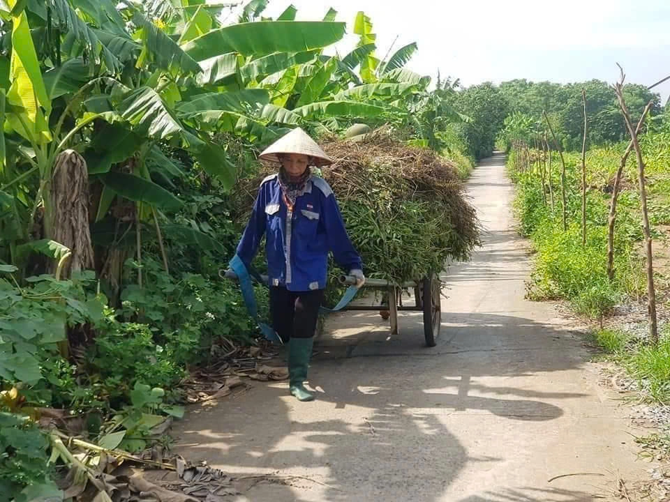 Day Tour | Experience Hanoi Countrysid Outskirts by Jeep: Discover Co Loa Ancient Citadel Life & History | Hanoi