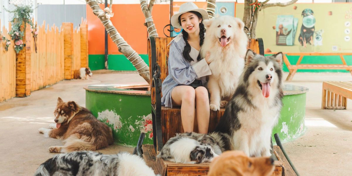 Puppy Farm family fun