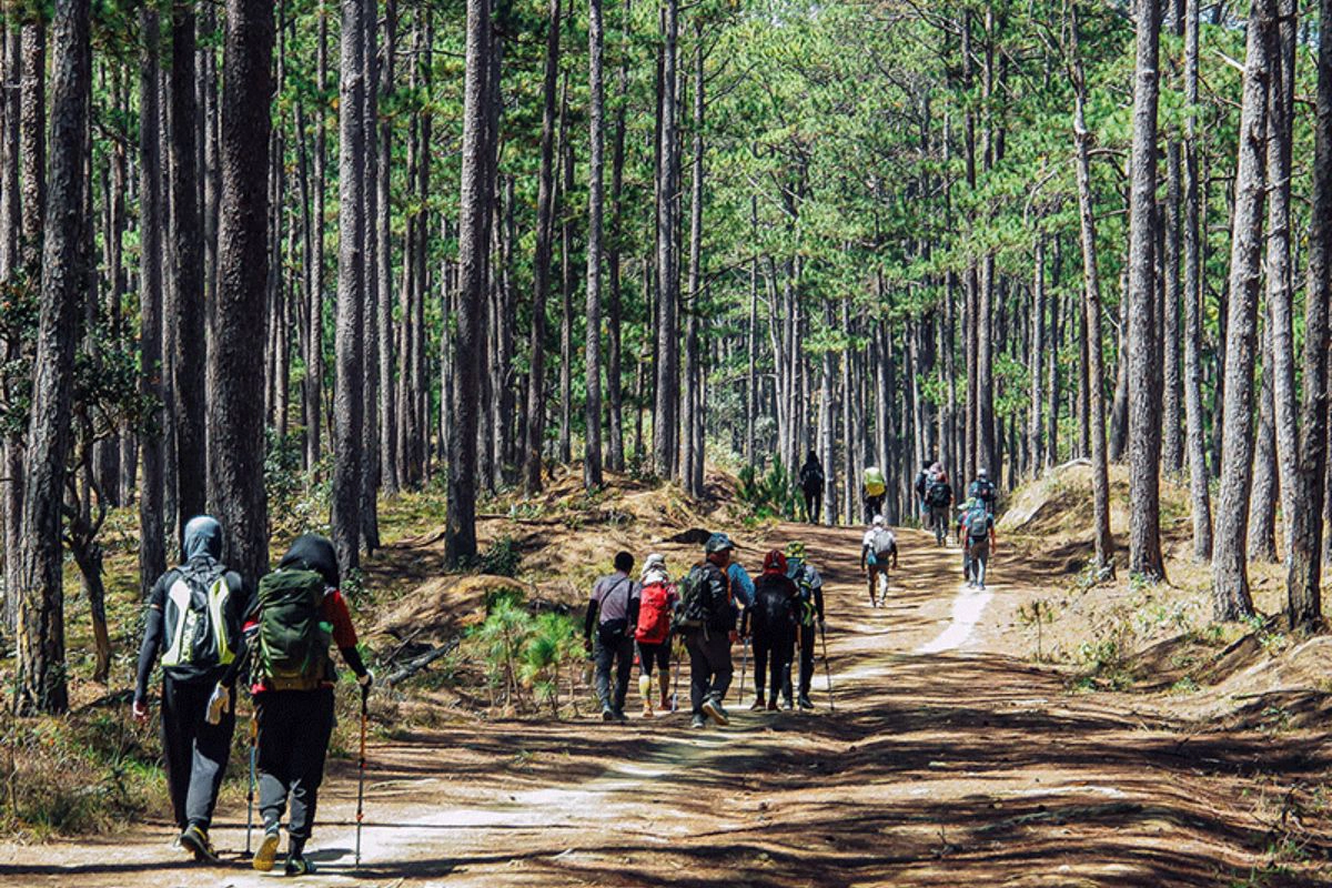 Trekking through pine forests is the first step of the canyoning journey