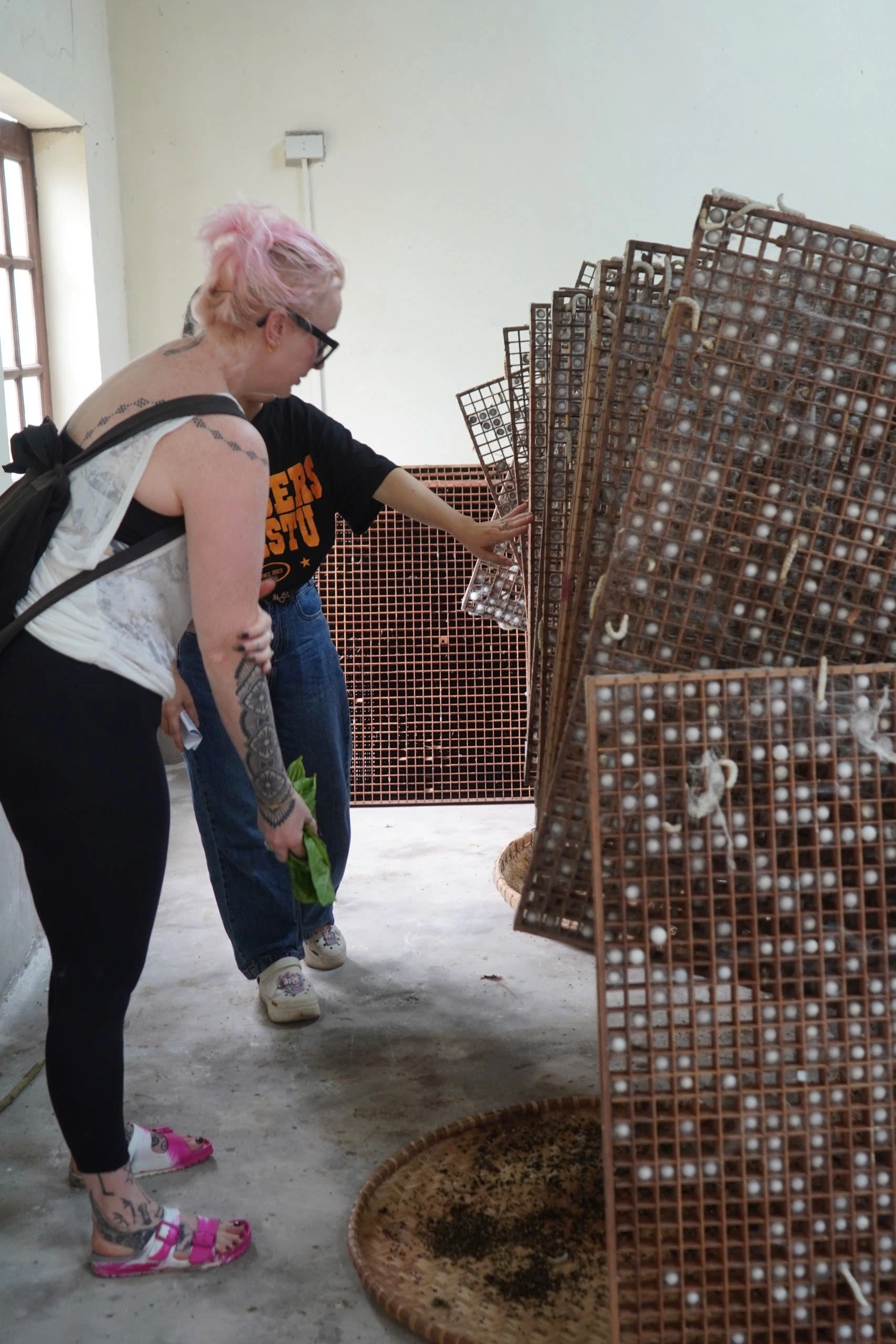 Ninh Binh Signature Silk Loom tour | Start from Ninh Binh