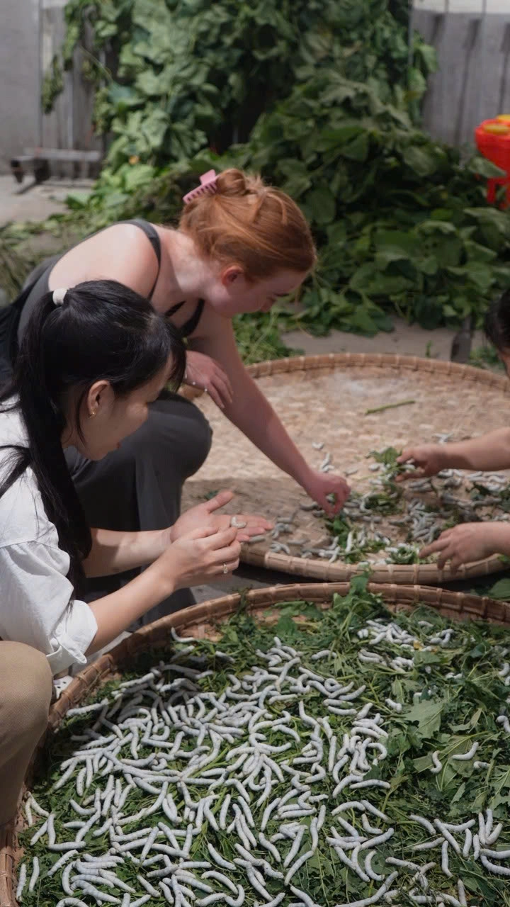 Ninh Binh Signature Hands-on Silk Loom with Immersive Silk | Start from Ninh Binh 