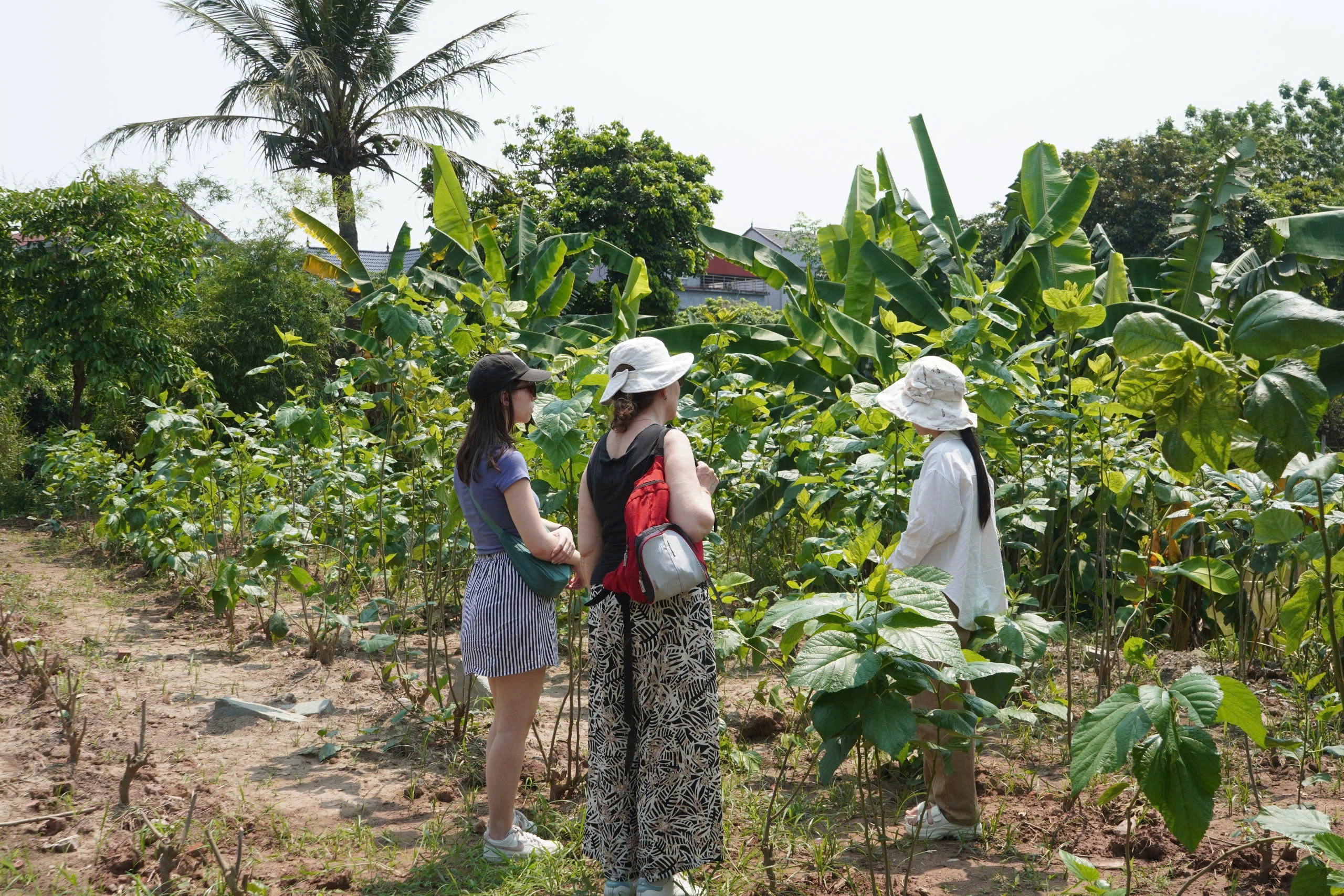 Ninh Binh Signature Hands-on Silk Loom with Immersive Silk | Start from Ninh Binh 