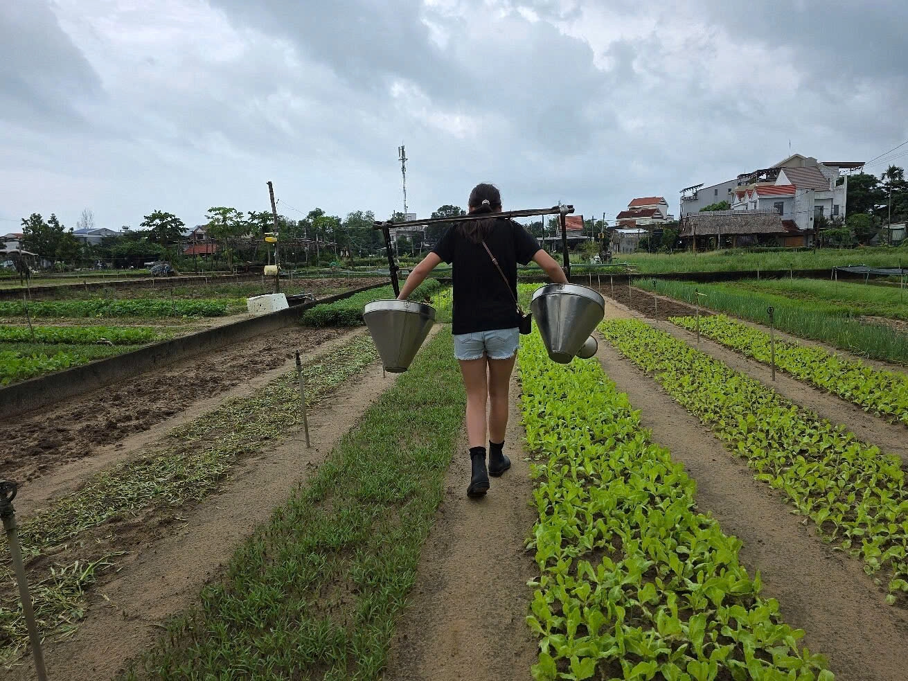 Hoi An Eco Enzyme Experience