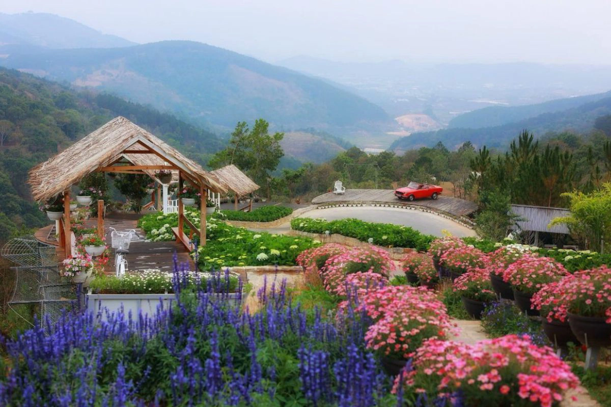 Da Lat Flower Gardens showcase the city’s vibrant floral beauty