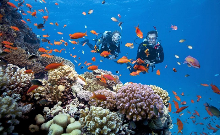 Day Tour | Phu Quoc 2 Islands Wooden Junk Cruise Tour: Coral Reef Snorkeling, Fishing Experience, Lunch on the deck (Flycam Shooting included) | Vietnam