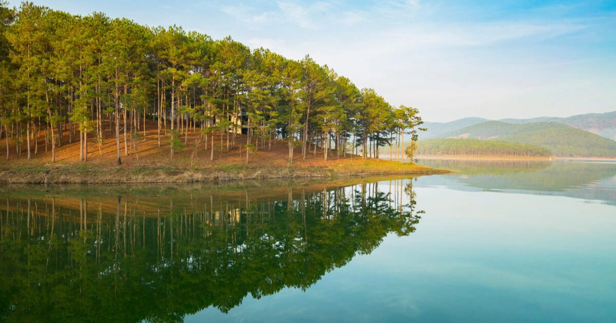 Tuyen Lam lake pine forest peaceful landscape Dalat