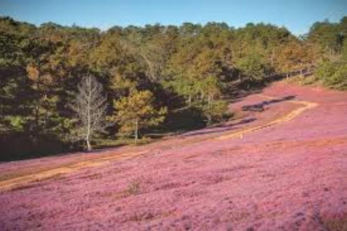 Choose the right season for better outdoor experiences