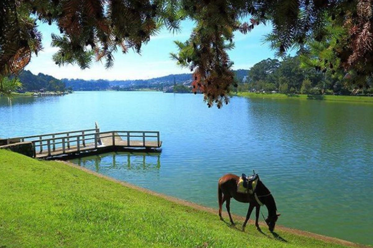 Peaceful lakes reveal Da Lat’s calm mountain charm