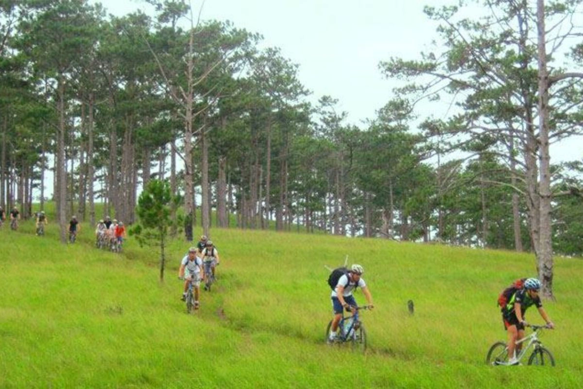 Scenic roads make Da Lat ideal for two-wheel exploration