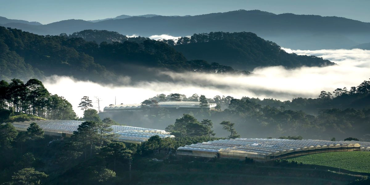 Da Lat cloud hunting