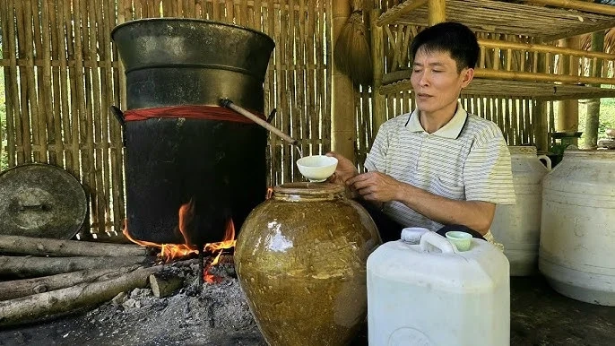 Explore Rural Life & Sustainable Agriculture at Go Noi Village | Hoi An