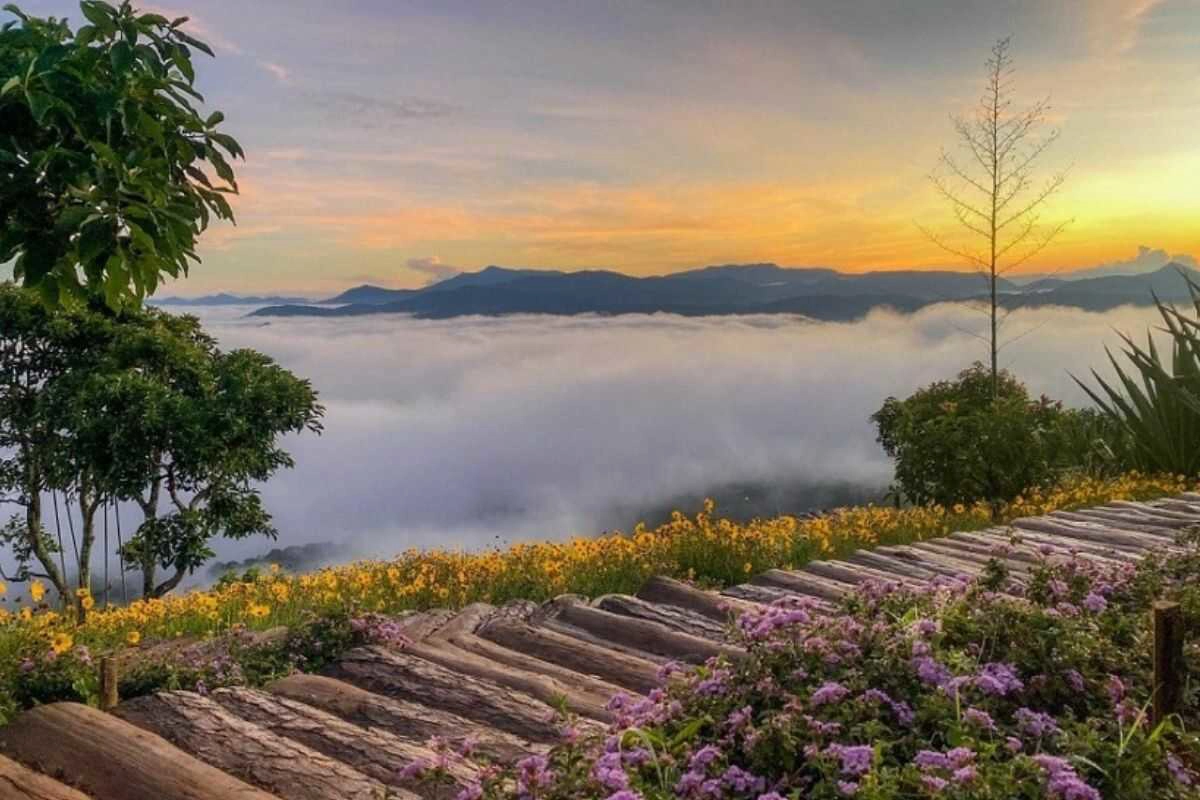 Da Lat – the city of thousands of flowers