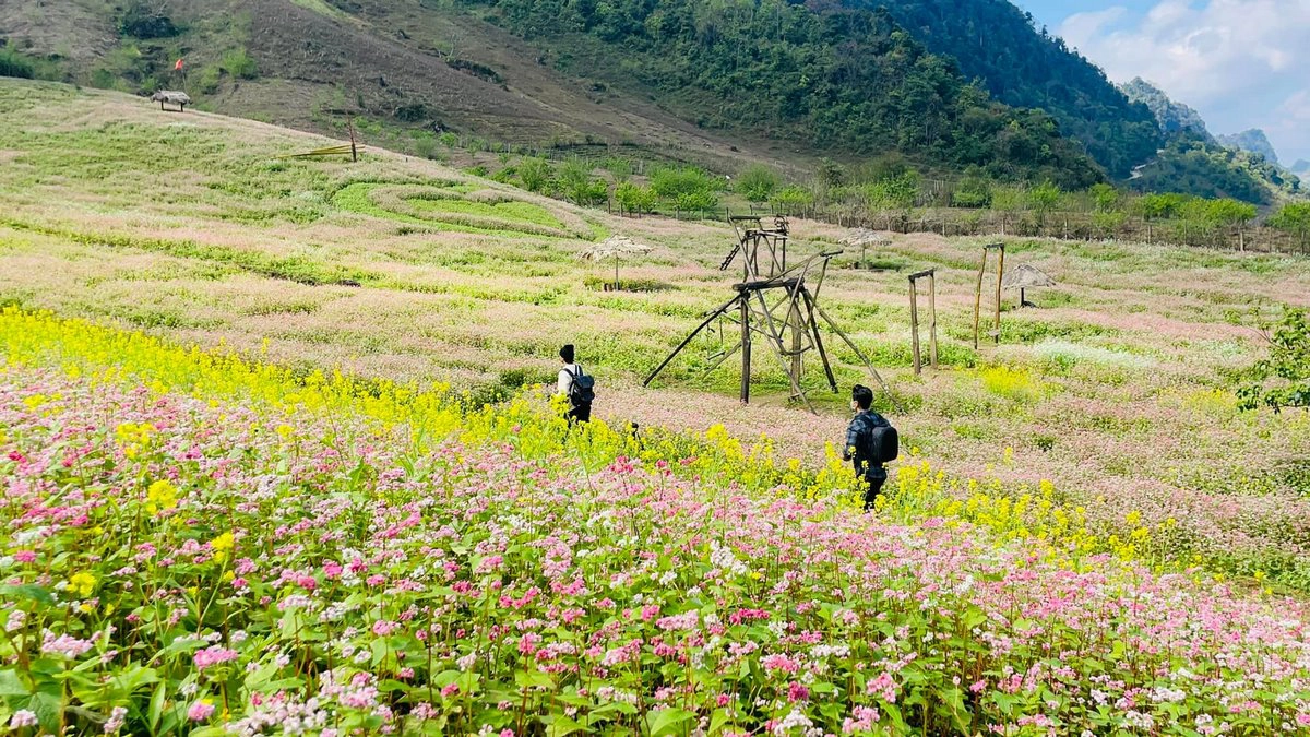 2D1N I Explore the local life through the villages in Mai Chau and Moc Chau