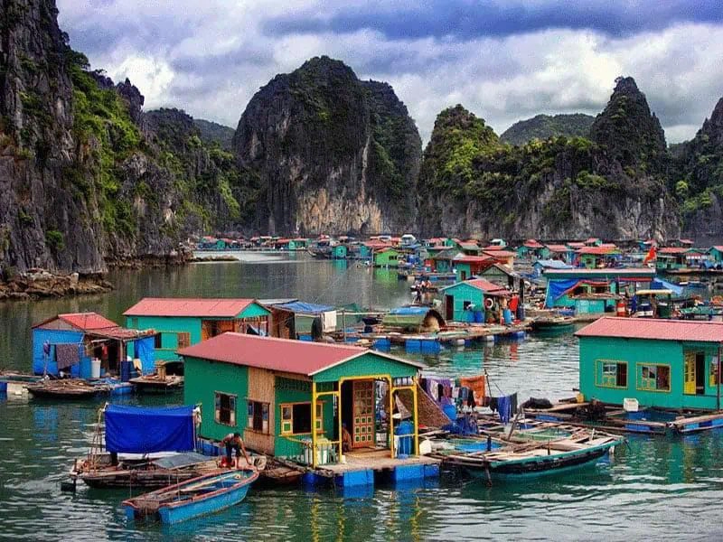 2D1N | Relaxing in Bai Tu Long Bay and relaxing in 5* Paradise Grand Cruise | Hạ Long