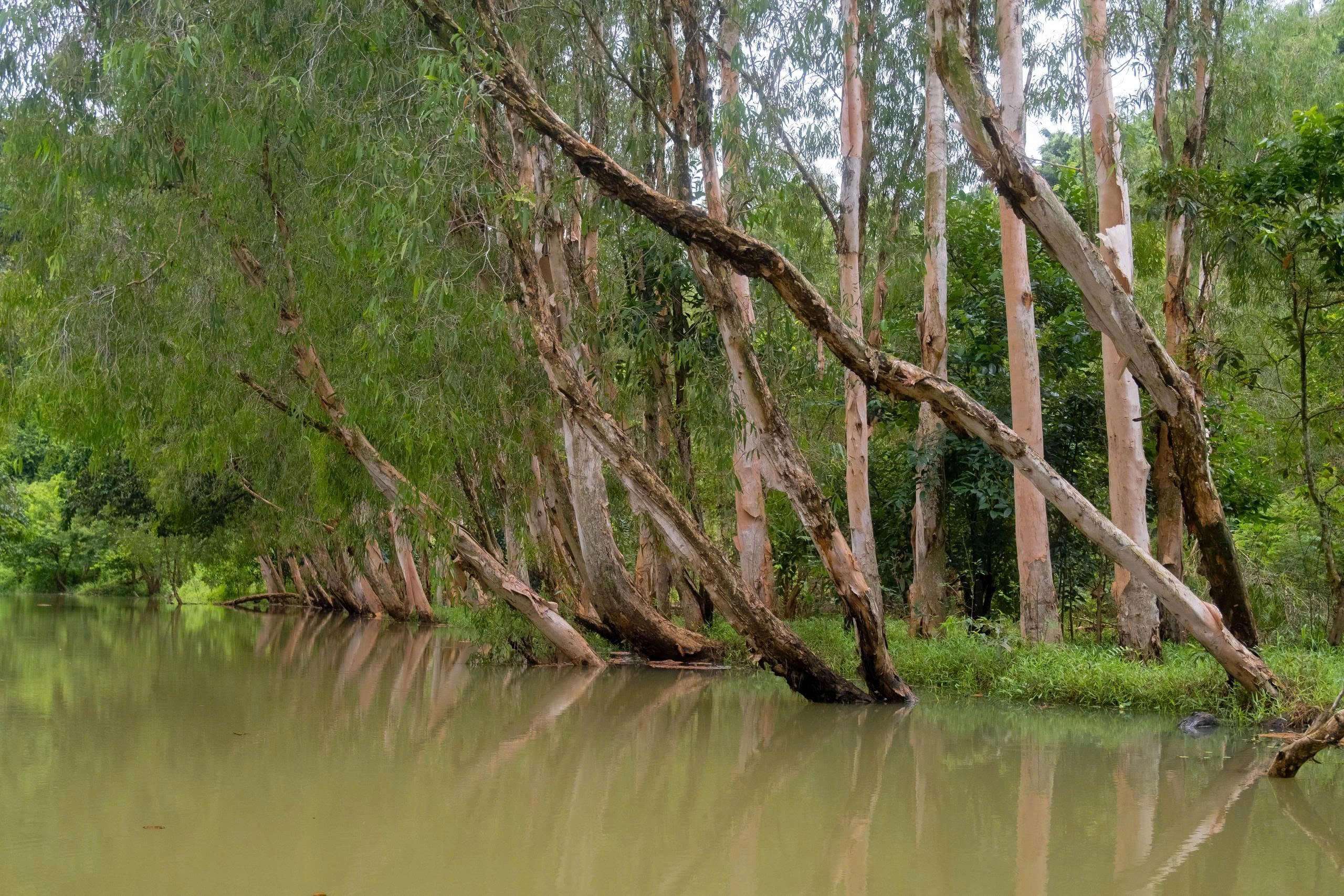 Tam Coc Pedal & Paddle Plus by E-bike | Start from Ninh Binh 