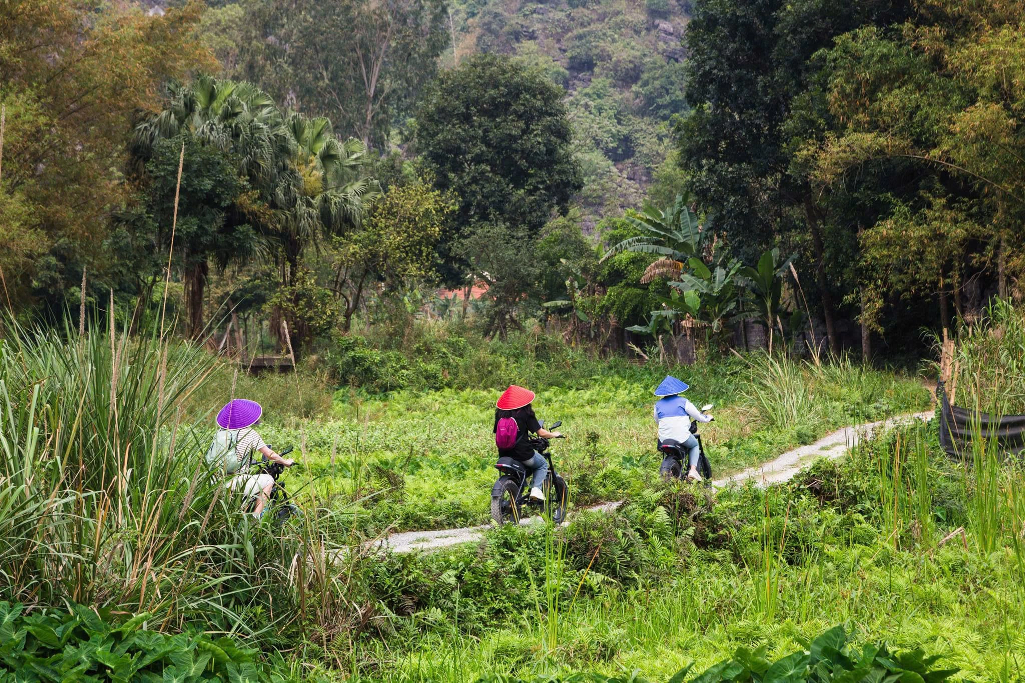 Tam Coc Pedal & Paddle Plus by E-bike | Start from Ninh Binh 