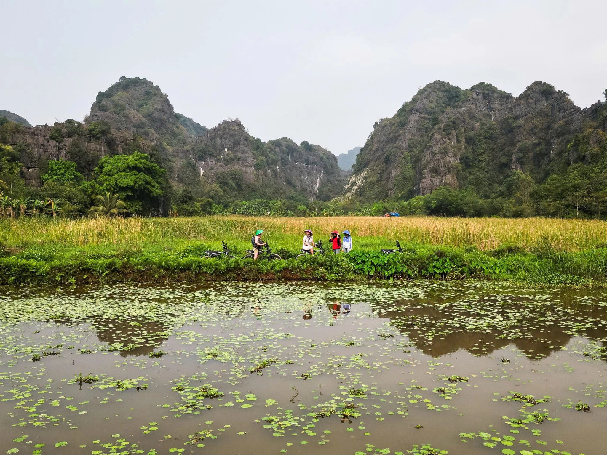 Tam Coc Pedal & Paddle Plus by E-bike | Start from Ninh Binh 