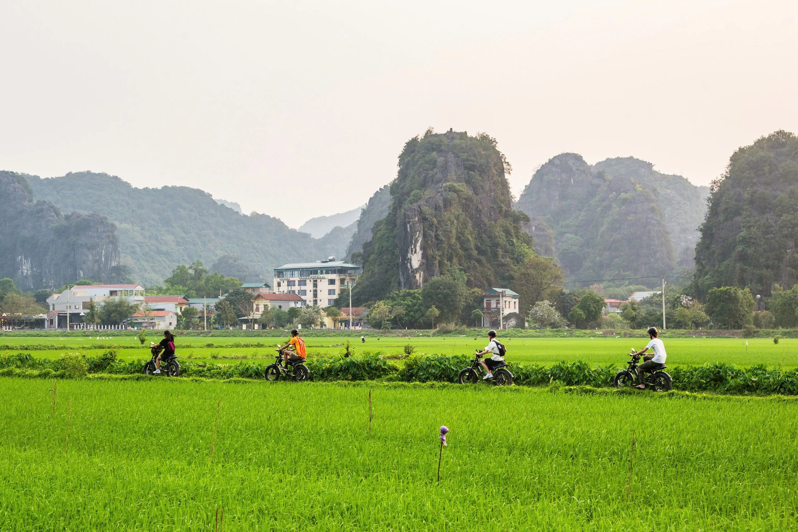 Day Tour | Tam Coc Wonders Plus Depart from Ninh Binh