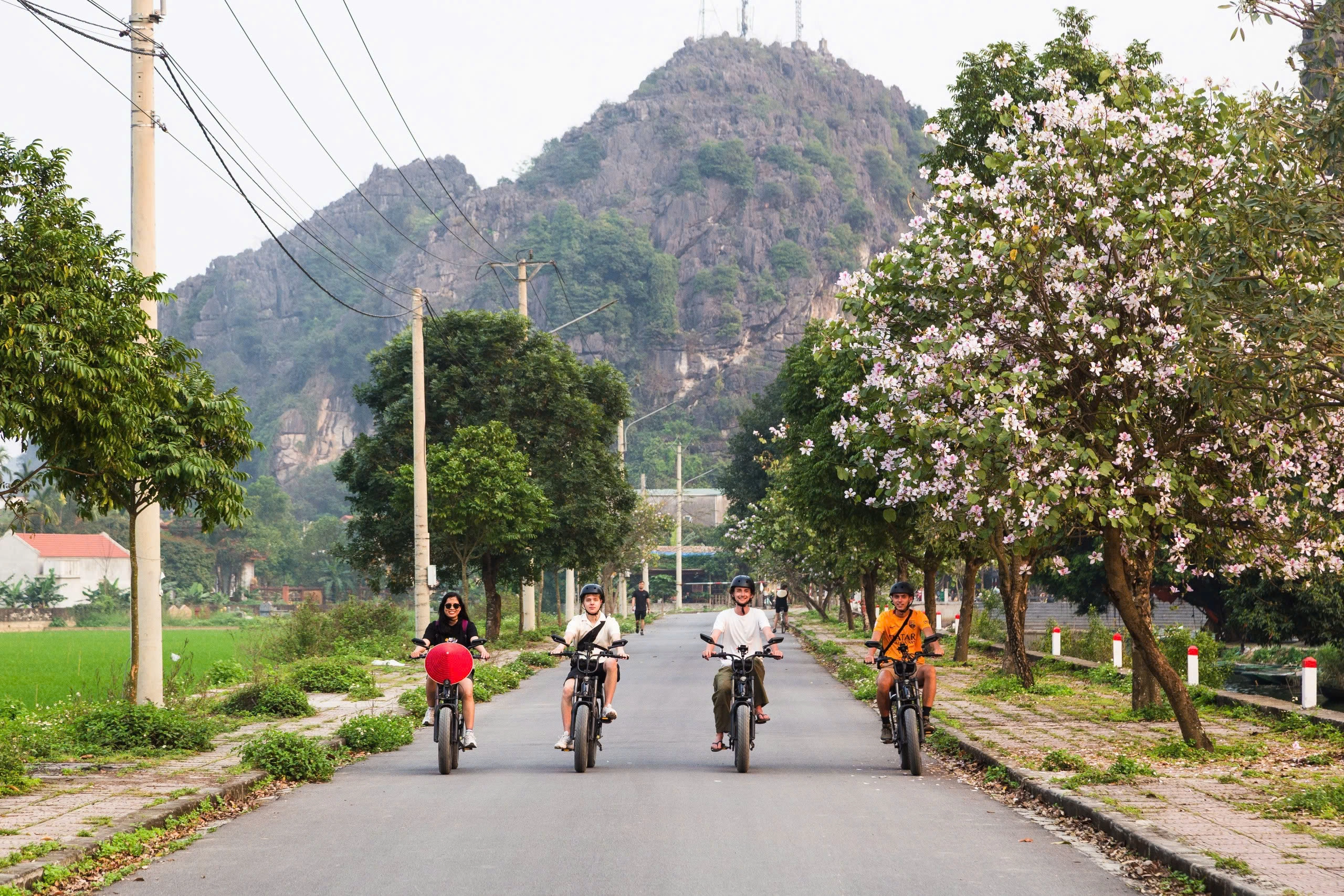 Day Tour | Tam Coc Wonders Plus Depart from Ninh Binh