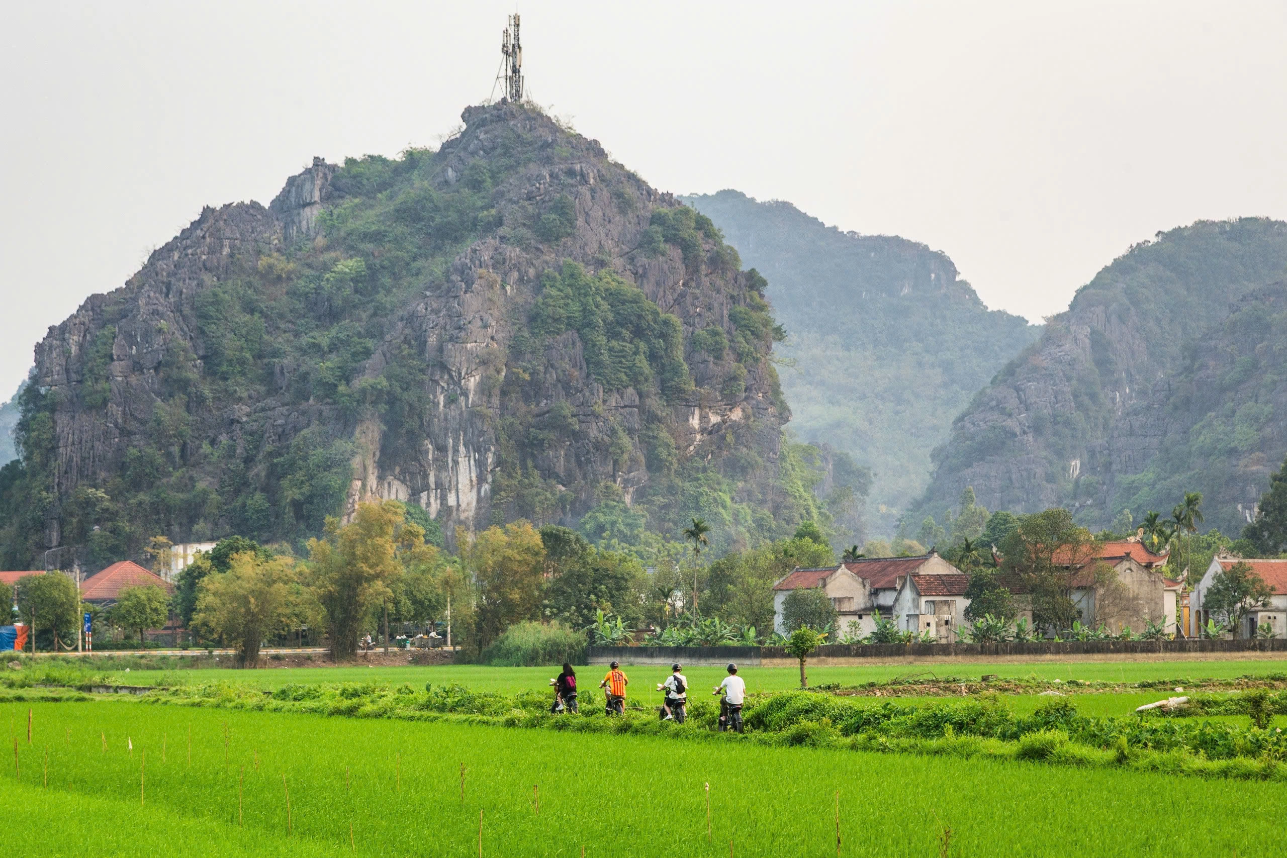 Day Tour | Tam Coc Wonders Plus Depart from Ninh Binh