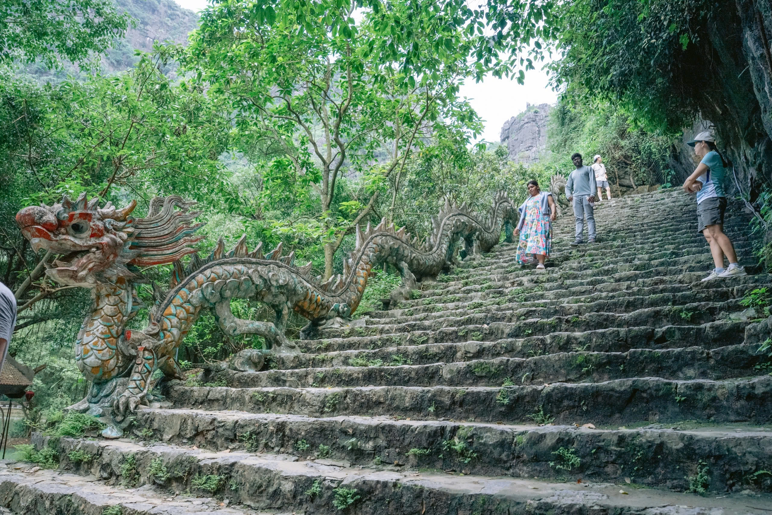 Day Tour | Tam Coc Wonders Plus Depart from Ninh Binh
