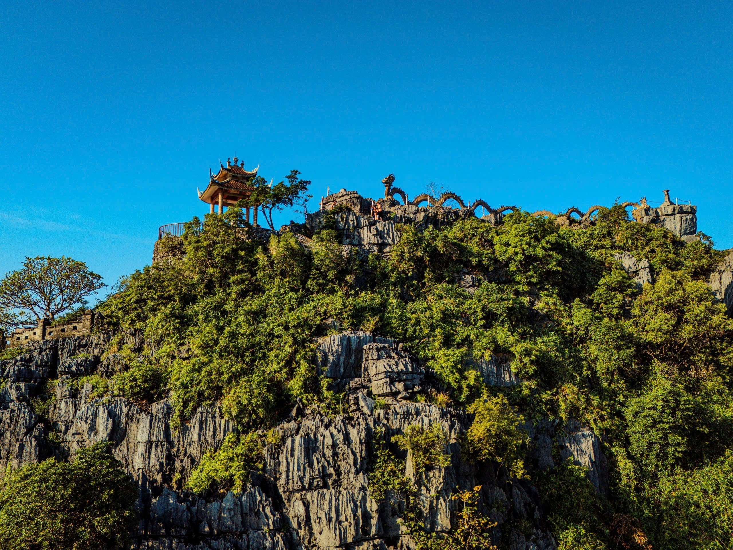 Day Tour | Tam Coc Wonders Plus Depart from Ninh Binh