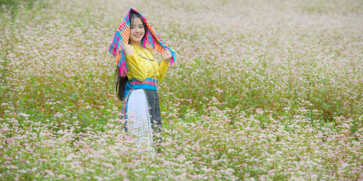 Ha Giang buckwheat flowers
