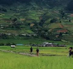 3D2N Tour | Mu Cang Chai Rice Terraces Adventure Depart from Hanoi