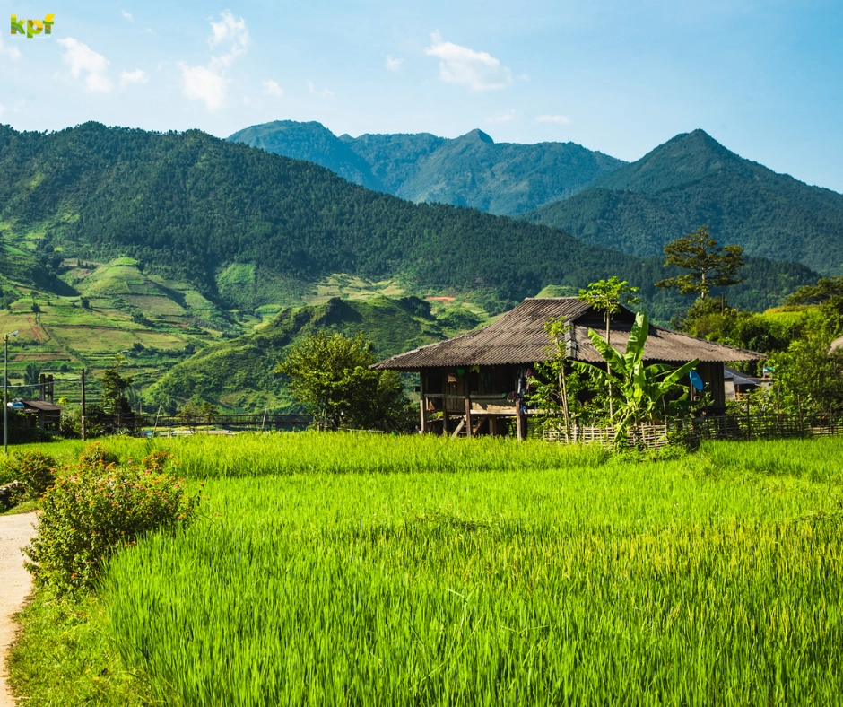 3N2D Tour | Colors of the Highlands in Mu Cang Chai Depart from Hanoi